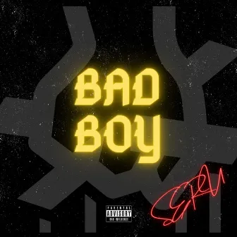 Bad Boy by Seru