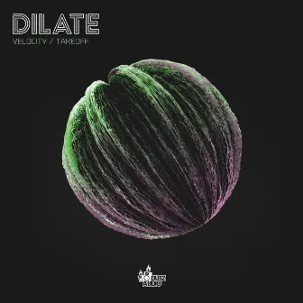 Velocity / Takeoff by Dilate