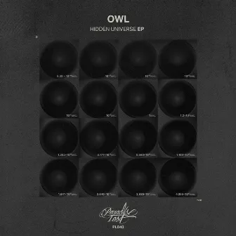 Hidden Universe EP by Owl