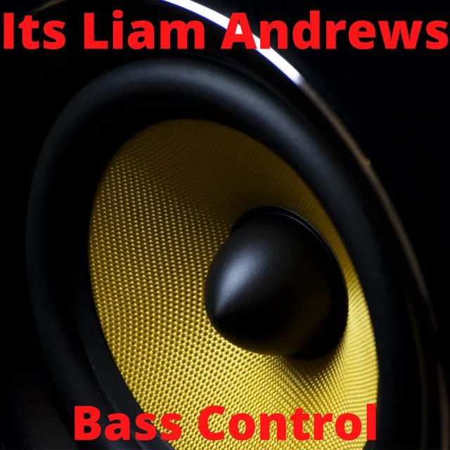 Bass Control