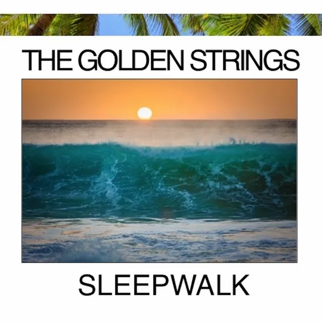 Sleepwalk