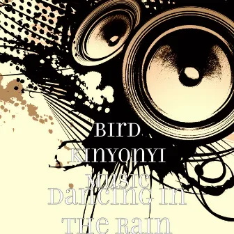 Dancing in the Rain by Bird Kinyonyi Music