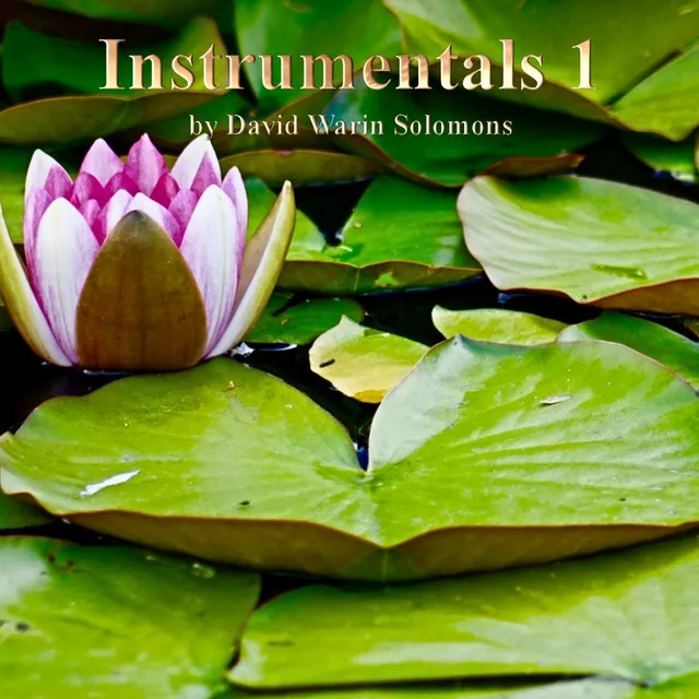 variations on noel nouvelet arr D W Solomons for wind quartet