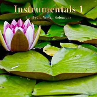 variations on noel nouvelet arr D W Solomons for wind quartet by Dwschorale