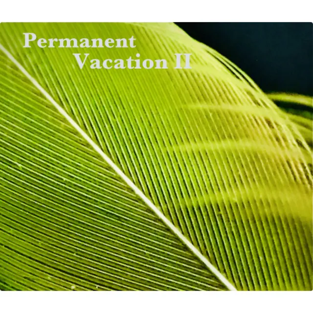 Permanent Vacation 2