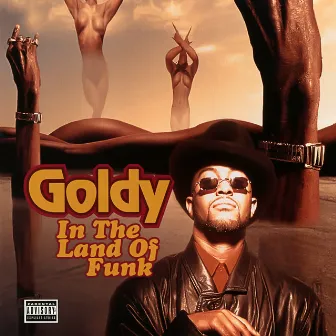 In the Land of Funk by Goldy