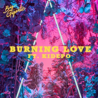 Burning Love by Big Gigantic