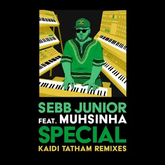 Special (Kaidi Tatham Remixes) by Kaidi Tatham