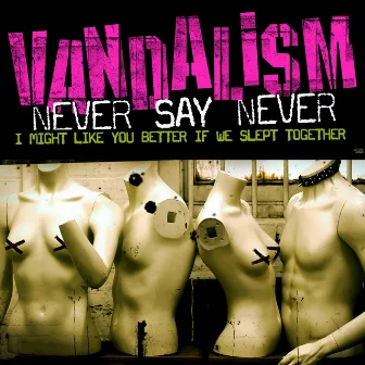 Never Say Never by Vandalism