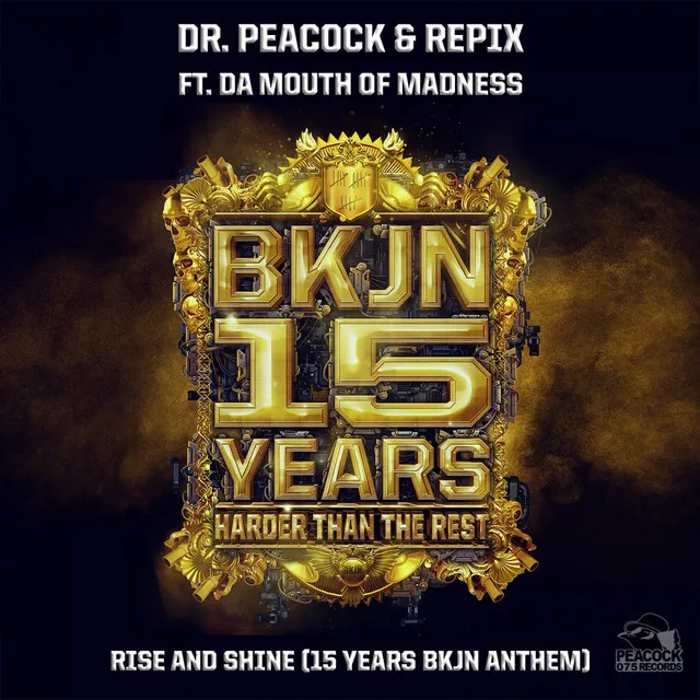 Rise & Shine - 15 Years BKJN Anthem