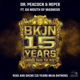 Rise & Shine (15 Years BKJN Anthem) by Repix