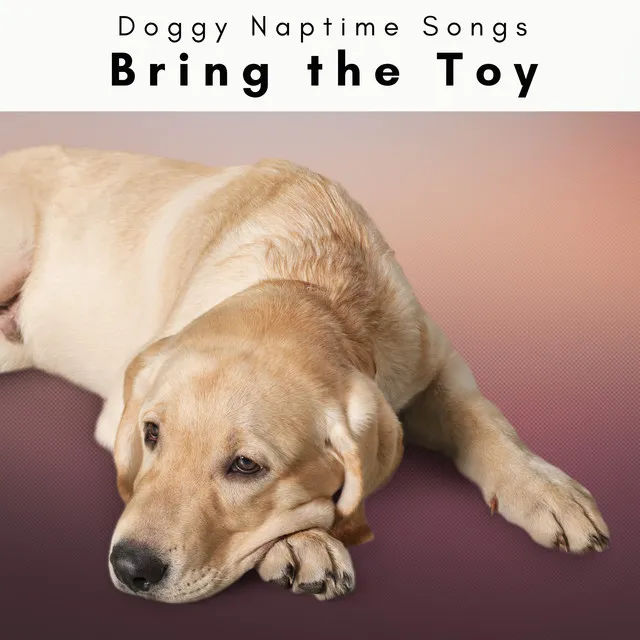 Soft Sounds for Caring Dog