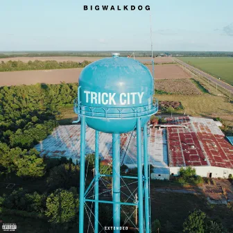 Trick City (Extended) by BigWalkDog