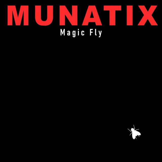 Magic Fly