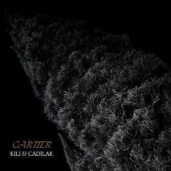 CARTIER by Kili