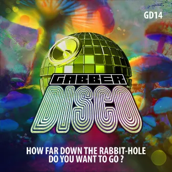 How Far Down the Rabbit-Hole Do You Want to Go by Gabberdisco