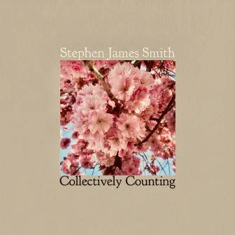 Collectively Counting by Stephen James Smith