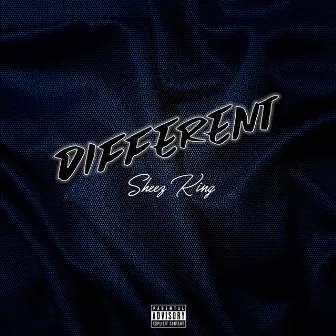 Different by Sheez King