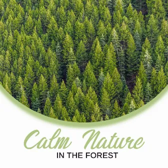 Calm Nature in the Forest: New Age Songs with Nature Sounds of Piano Birds, Forest & Water, Inner Harmony & Balance, Relaxing Time by Source of Serenity