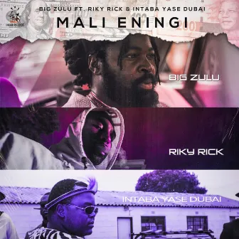 Mali Eningi by Big Zulu