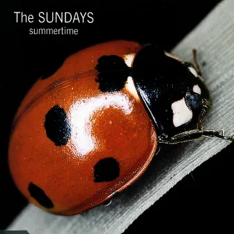 Summertime by The Sundays