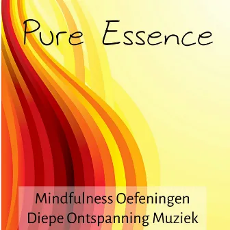 Pure Essence - Mindfulness Oefeningen Diepe Ontspanning Muziek met Natuurlijke Instrumentale Geluiden by Unknown Artist