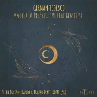 Matter of Perspective (Julian Liander, Mauro Masi Remix) by Mauro Masi