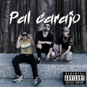 Pal Carajo (Rmx) by Claudia San