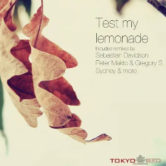 Test My Lemonade by Miki Leris