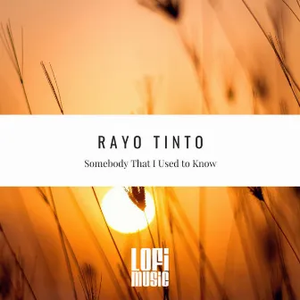 Somebody That I Used To Know by Rayo Tinto