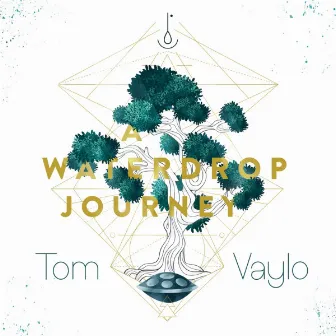 A Waterdrop's Journey by Tom Vaylo