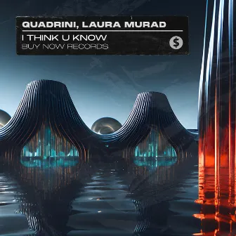 I Think U Know by Laura Murad