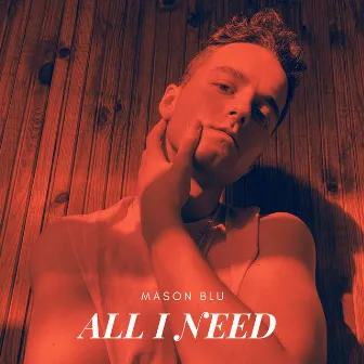 All I Need by Mason Blu