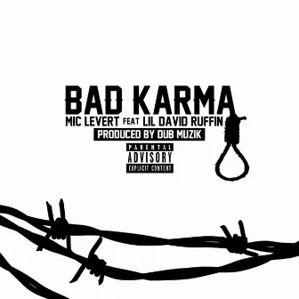 Bad Karma by Mic Levert