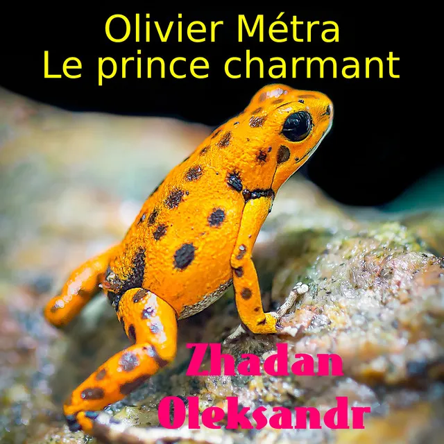 Le prince charmant in D major, IOM 25: Finale