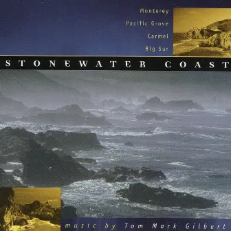 Stonewater Coast by Tom Mark Gilbert