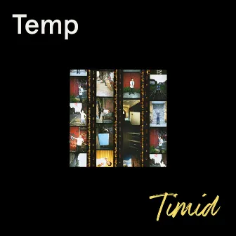 Timid by Temp