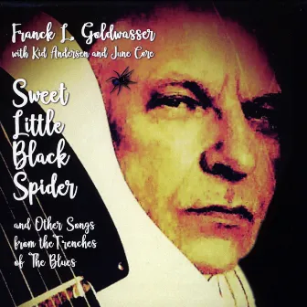 Sweet Little Black Spider and Other Songs from the Trenches of the Blues by Kid Andersen