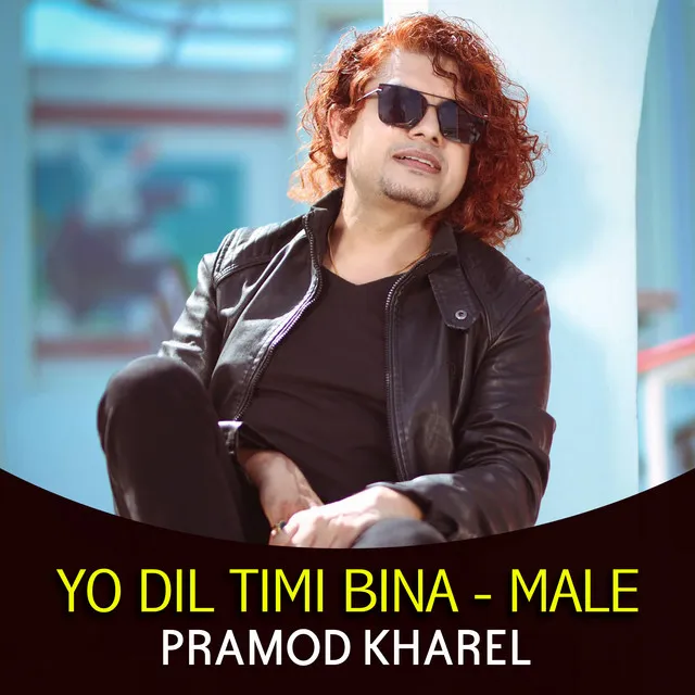 Yo Dil Timi Bina (From "Dil") - Male