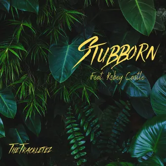 Stubborn (feat. Kobey Castle) by Trackletez