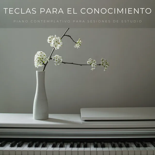 Sonata De Estudio En Piano