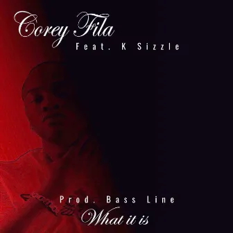 What it is by Corey Fila