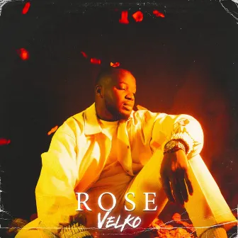 Rose by Velko