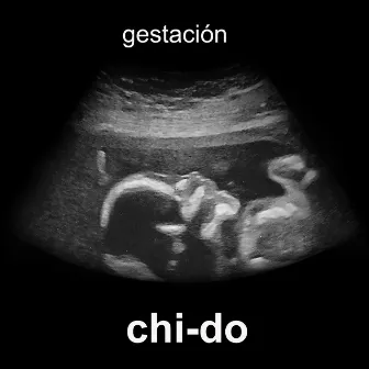 Gestación by Chido