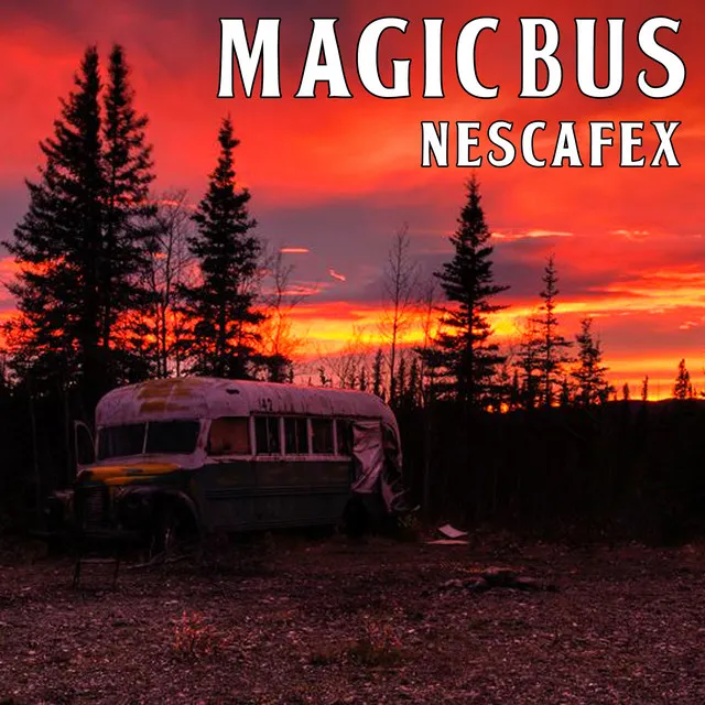 Magic Bus (Acoustic)