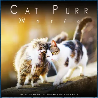 Cat Purr Music: Relaxing Music for Sleeping Cats and Pets by Cat Music Experience