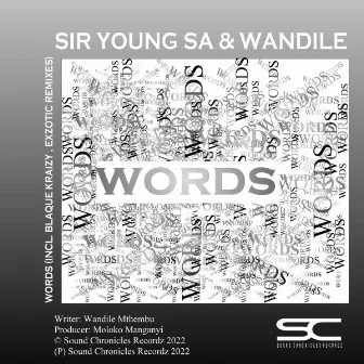 Words (Remixes) by Wandile