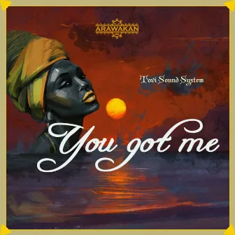 You Got Me by Tovi Sound System