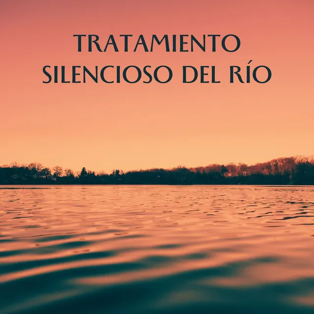 Tratamiento Silencioso Del Río