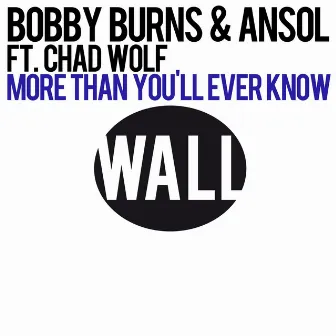 More Than You'll Ever Know (feat. Chad Wolf) by Ansol